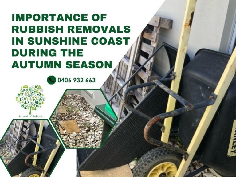 Importance of Rubbish Removals in Sunshine Coast During The Autumn Season
