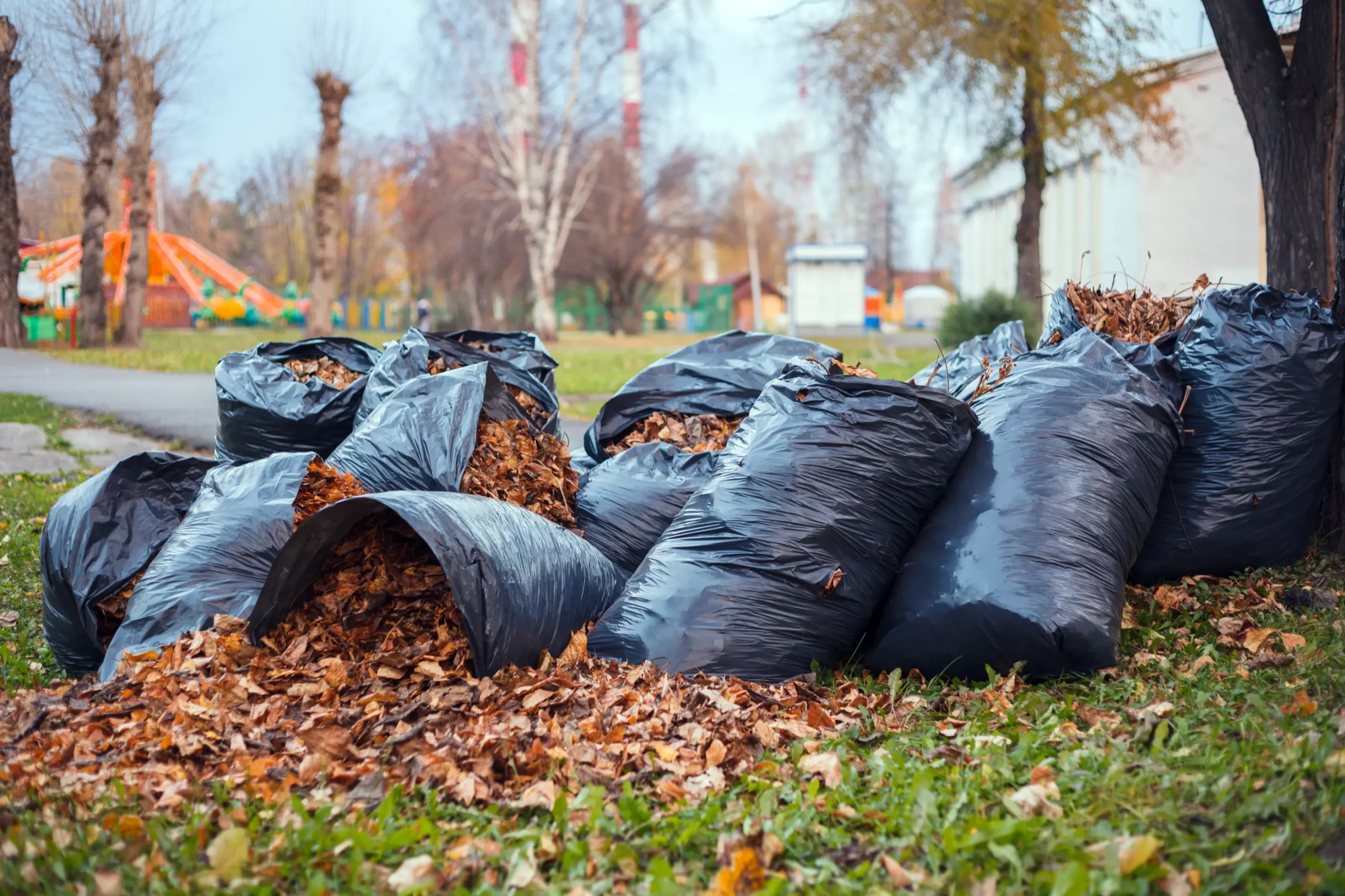 Professional rubbish removal service